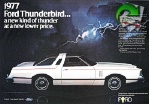 Ford 1976 80.jpg